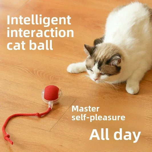 Interactive Rechargeable Pet Toy Ball for Dogs & Cats