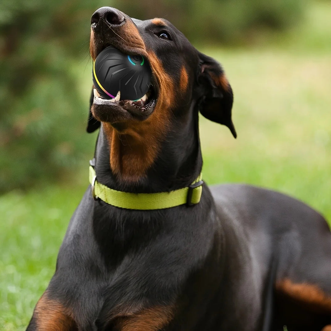 Intelligent dog toy, interactive pet toy, random rolling and jumping, colorful lights, long-lasting battery life of 4 hours, inc