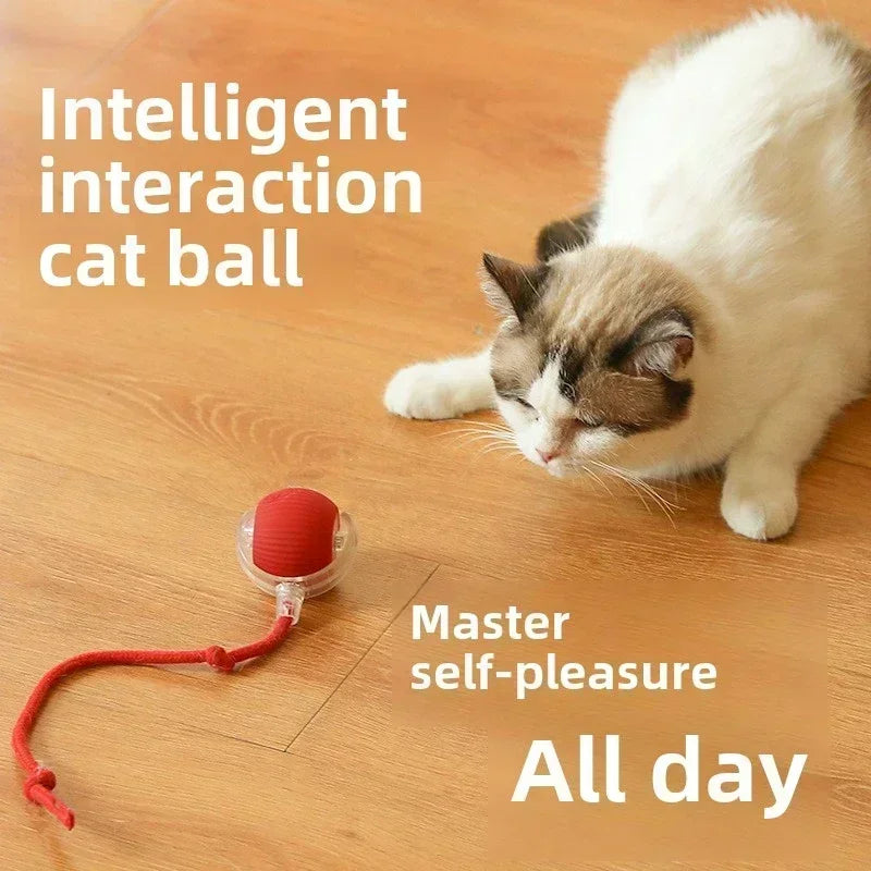 Interactive Rechargeable Pet Toy Ball for Dogs & Cats