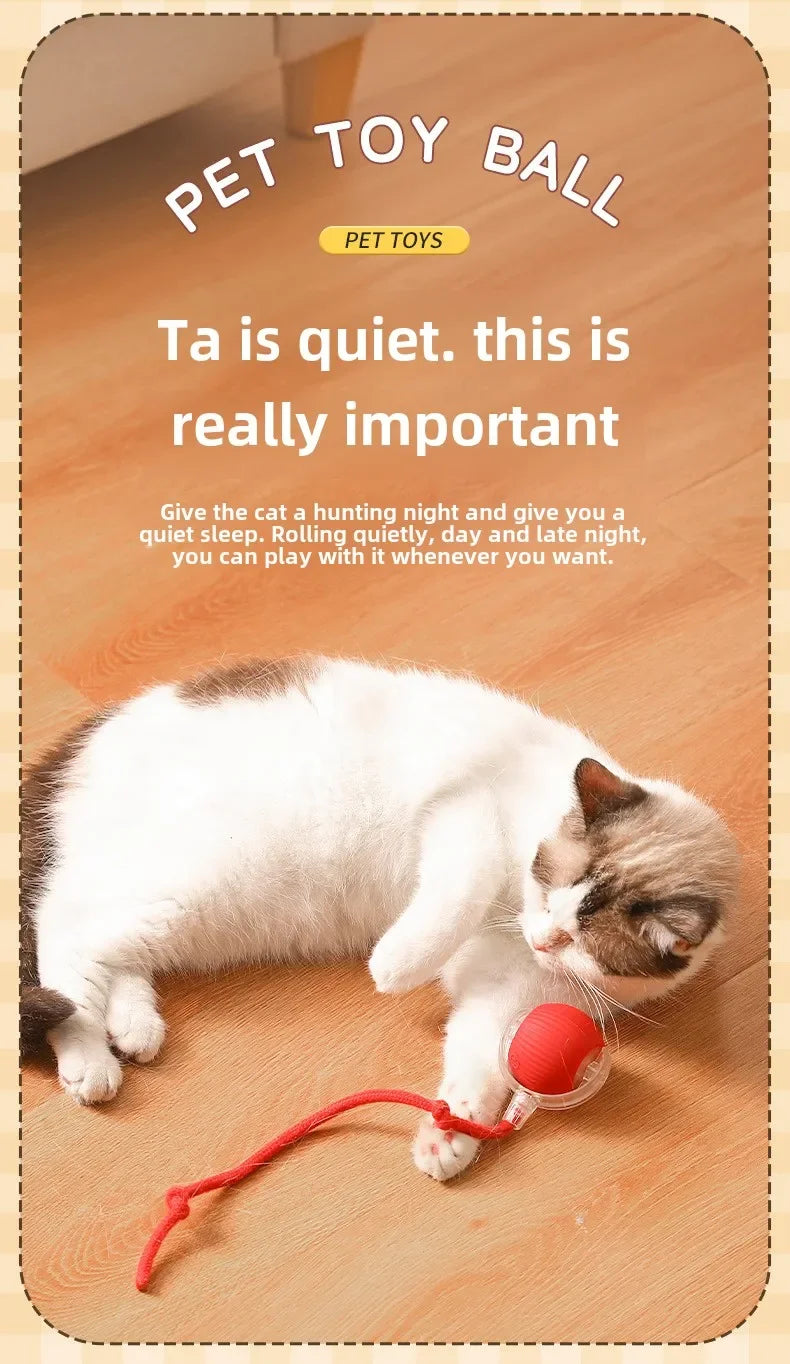 Interactive Rechargeable Pet Toy Ball for Dogs & Cats