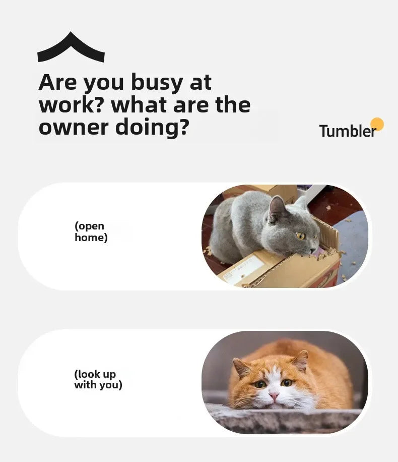 Interactive Rechargeable Pet Toy Ball for Dogs & Cats