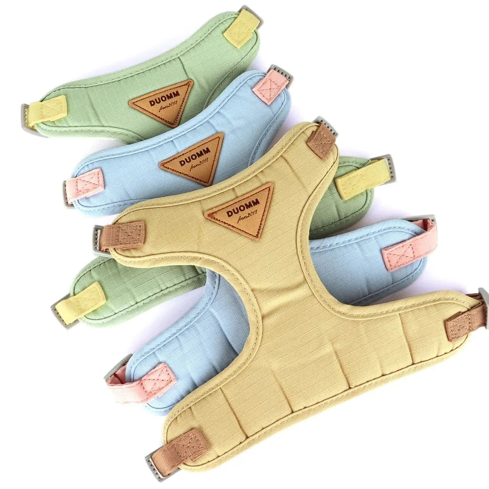 Pet Products for Cats Detachable Collar Pets Kittens Harness Accessories Goods Cute Kitten Animal Animals Stuff Dogs Tag Collars