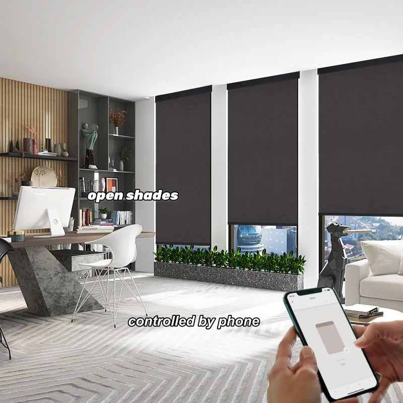 Hot Selling Square Cassette Custom Size Waterproof Black Fabric Zigbee Hub Alexa Compatible Motorized Roller Blinds For House