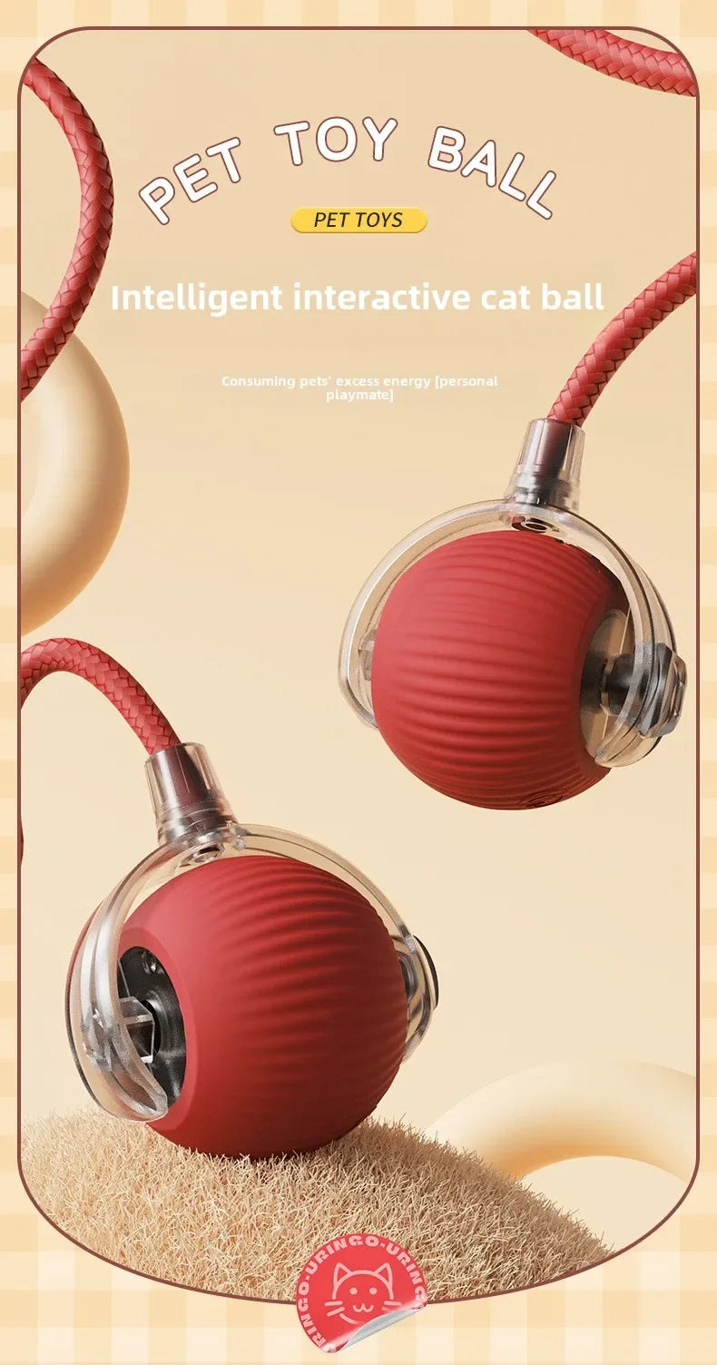 Interactive Rechargeable Pet Toy Ball for Dogs & Cats