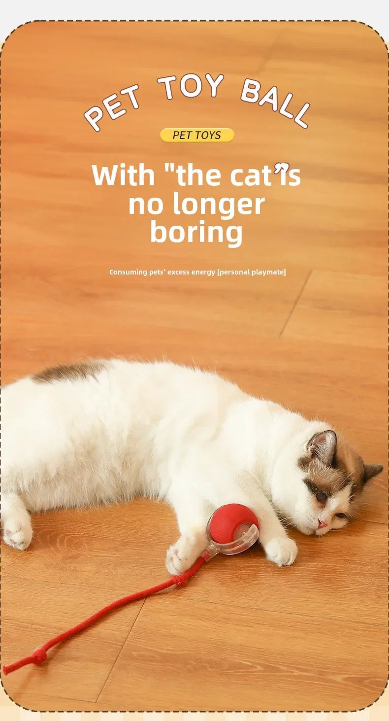 Interactive Rechargeable Pet Toy Ball for Dogs & Cats
