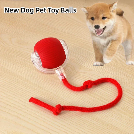 Interactive Rechargeable Pet Toy Ball for Dogs & Cats