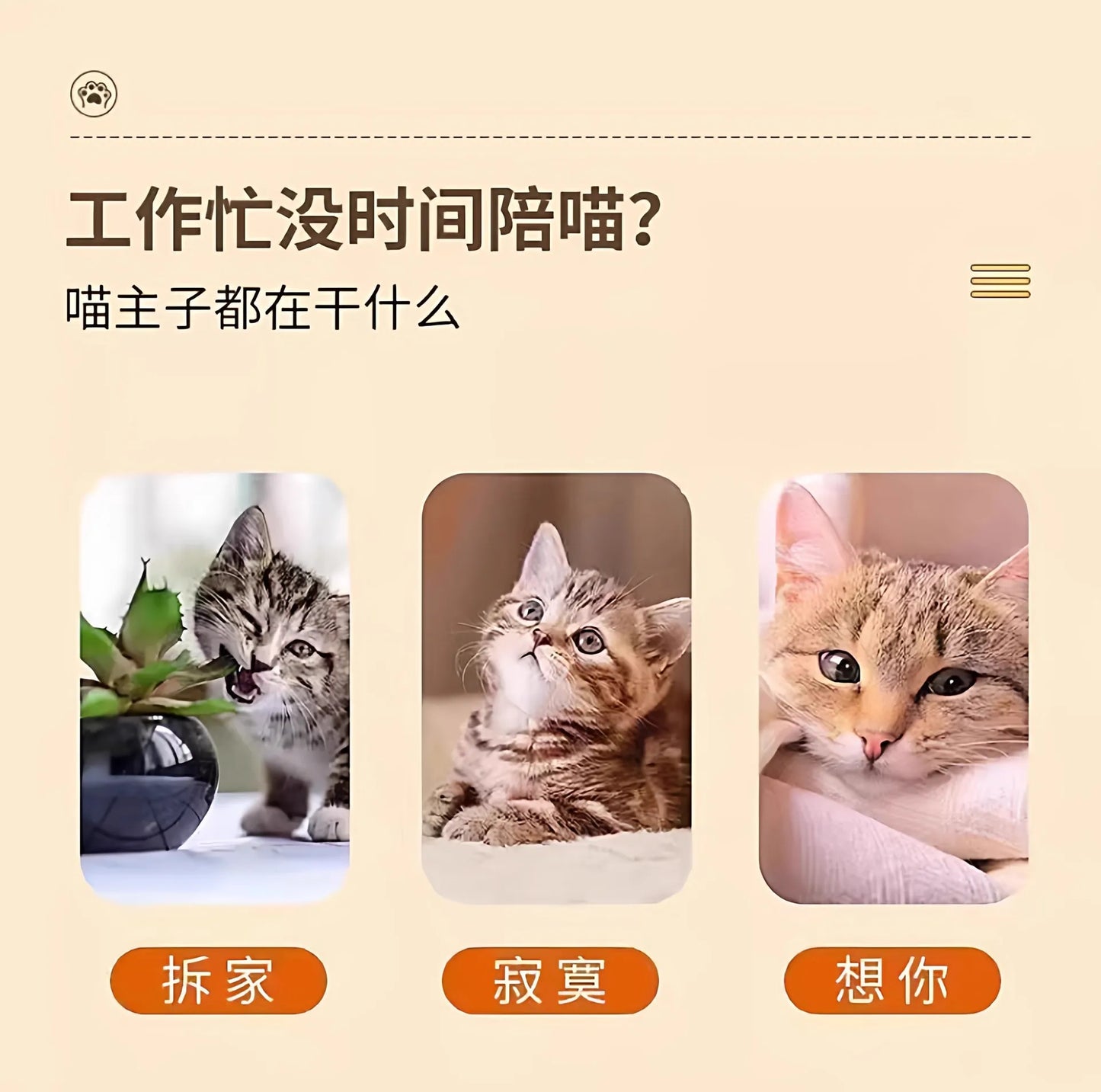 Interactive Cat Toy with Sound Moving Mouse Teaser Wand for Kittens Boredom Relief Chew Toys Realistic Mouse Pet Supplies for