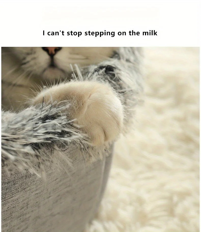 Cozy 2pcs Cat Bed Set - Plush Enclosed Pet Bed & Mat, Washable Cover. Purrfect Christmas Gift! 🎁