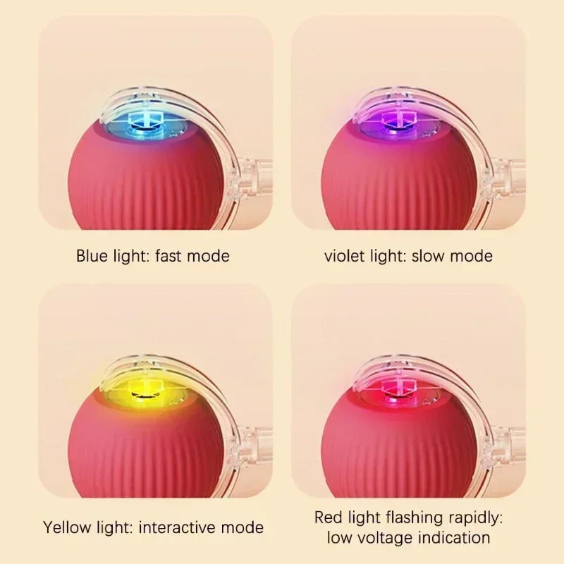 Interactive Rechargeable Pet Toy Ball for Dogs & Cats