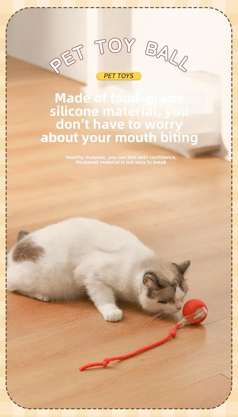 Interactive Rechargeable Pet Toy Ball for Dogs & Cats