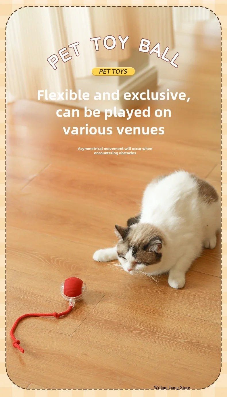 Interactive Rechargeable Pet Toy Ball for Dogs & Cats