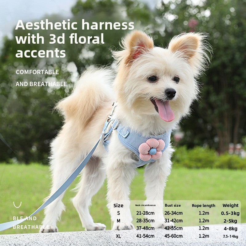 VALL Dog Leash – Durable & Comfortable Pet Walking Lead