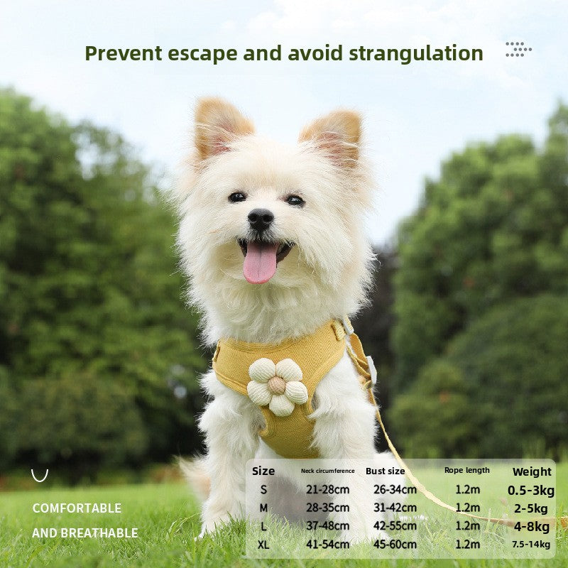 VALL Dog Leash – Durable & Comfortable Pet Walking Lead