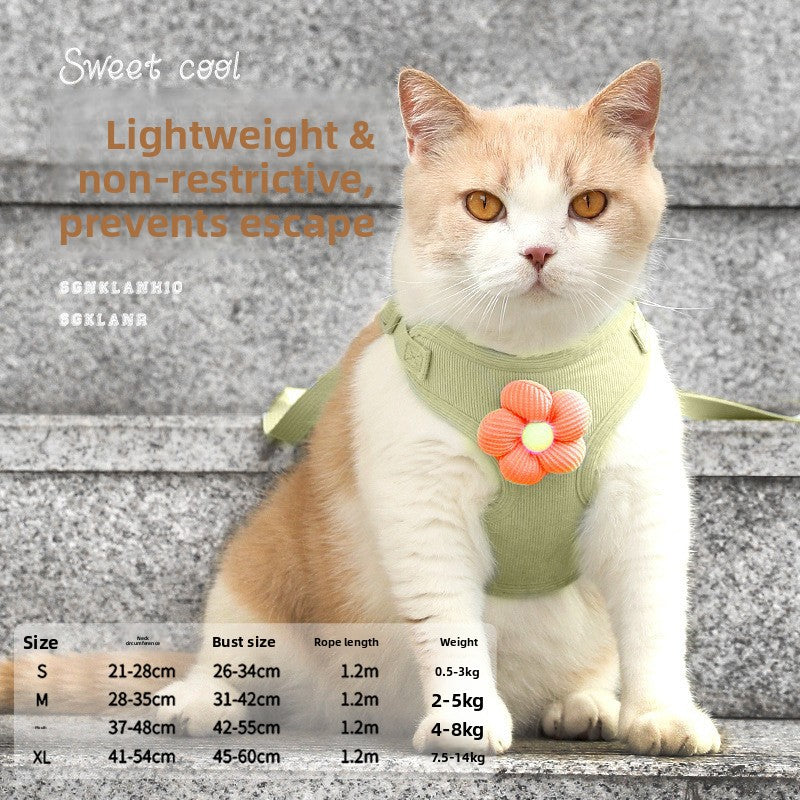 VALL Dog Leash – Durable & Comfortable Pet Walking Lead