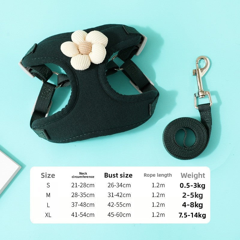 VALL Dog Leash – Durable & Comfortable Pet Walking Lead