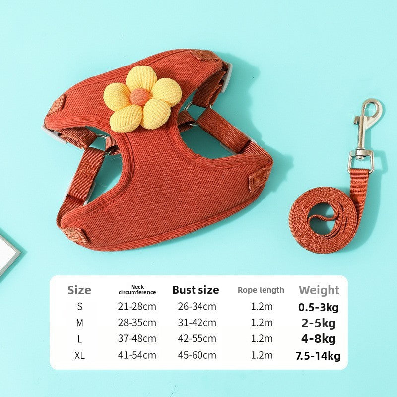 VALL Dog Leash – Durable & Comfortable Pet Walking Lead